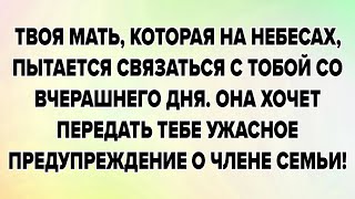 :  ,   ,       .  ...