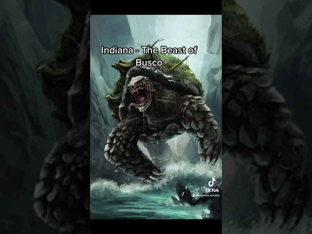 Creepy Cryptids from each U.S. State Pt. 14: Indiana, the Beast of Busco #shorts