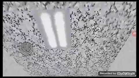 Bald,s field trip part3