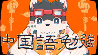 【中国語勉強】君中国語本当上手【Duolingo】