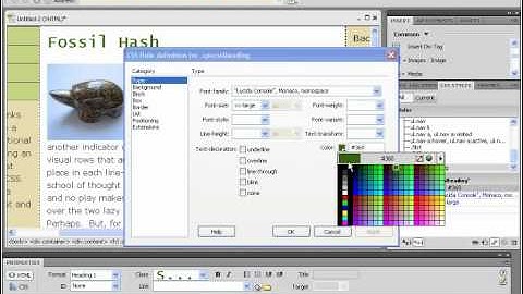 Dreamweaver CS5 Tutorial Editing CSS Styles Adobe Training Lesson 8.5
