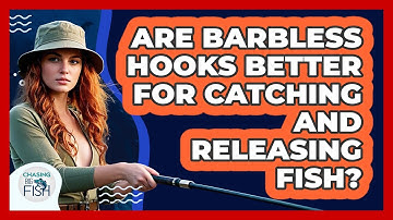 Are Barbless Hooks Better For Catching And Releasing Fish? - Chasing Big Fish