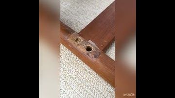 How to remove a broken dowel #shorts #diy #carpenter