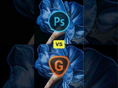 Topaz Gigapixel vs