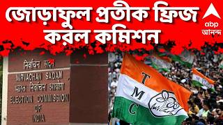Trinamool Congress LIVE | তৃণমূল নাম ও জোড়াফুল প্রতীক ফ্রিজ করল কমিশন | ABP Ananda LIVE screenshot 3
