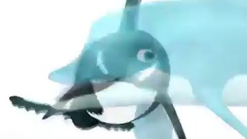 Dolphin remix music
