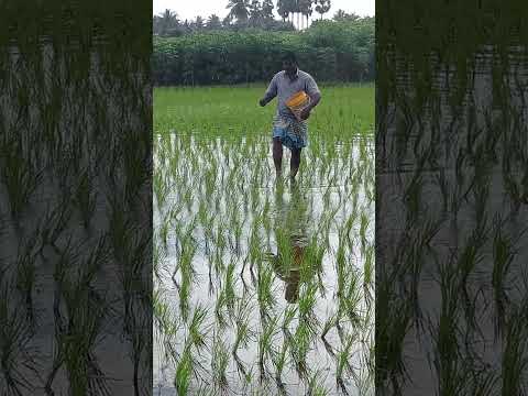 All The People Of The City Should Be In Sothu Lifeisbutadream Maginila Funny