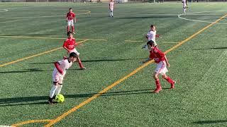 S. L. Benfica 0 - 4 U.D. Oliveirense (sub13 fut 9)