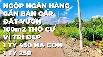 (Đã Bán) Ngộp Ngân Hàng Quá Rồi A Hiếu Hạ Giá Cần Bán Gấp Đất Vườn Có Thổ Cư Ở BR-VT