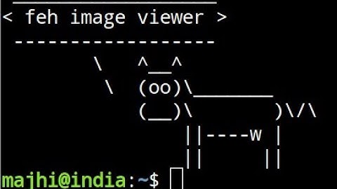 feh image viewer (thumbnail mode)