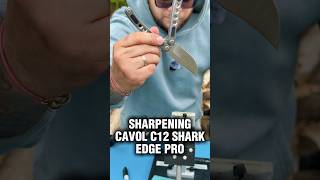 Sharpening c12 shark @cavolknives by Osho. @EdgePro #knifeantelife #edc #knifelife
