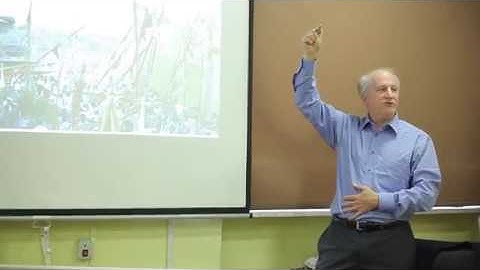 Competitive Sharing of Supposedly Indivisible Sacred Spaces | Robert M. Hayden