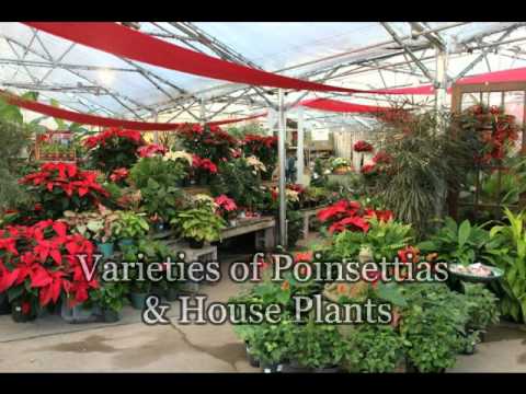 2014 Christmas Shop At River Hill Garden Center Youtube