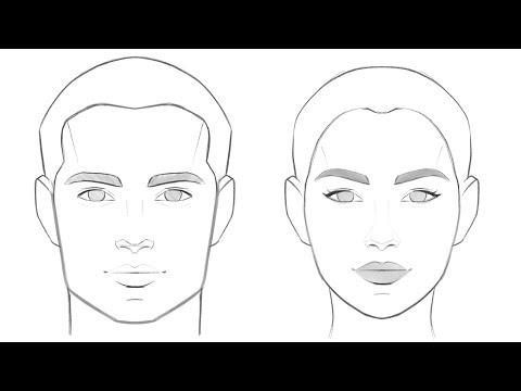 drawing-and-painting-portraits:-the-basic-forms-and-proportions-of-the-head