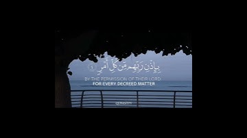 سورة (القدر) بصوت الشيخ ( هيثم الدخين )