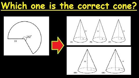 which cone is it?