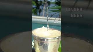 Rum Julep