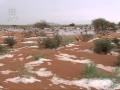 البيئة الصحراوية في الوطن العربي