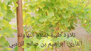 تلاوة طيبة بمقام النهاوند للقارئ الجزائري إبراهيم بن صالح الزعبي