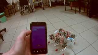 Celebrity Hexapod - the walking robot Wealth