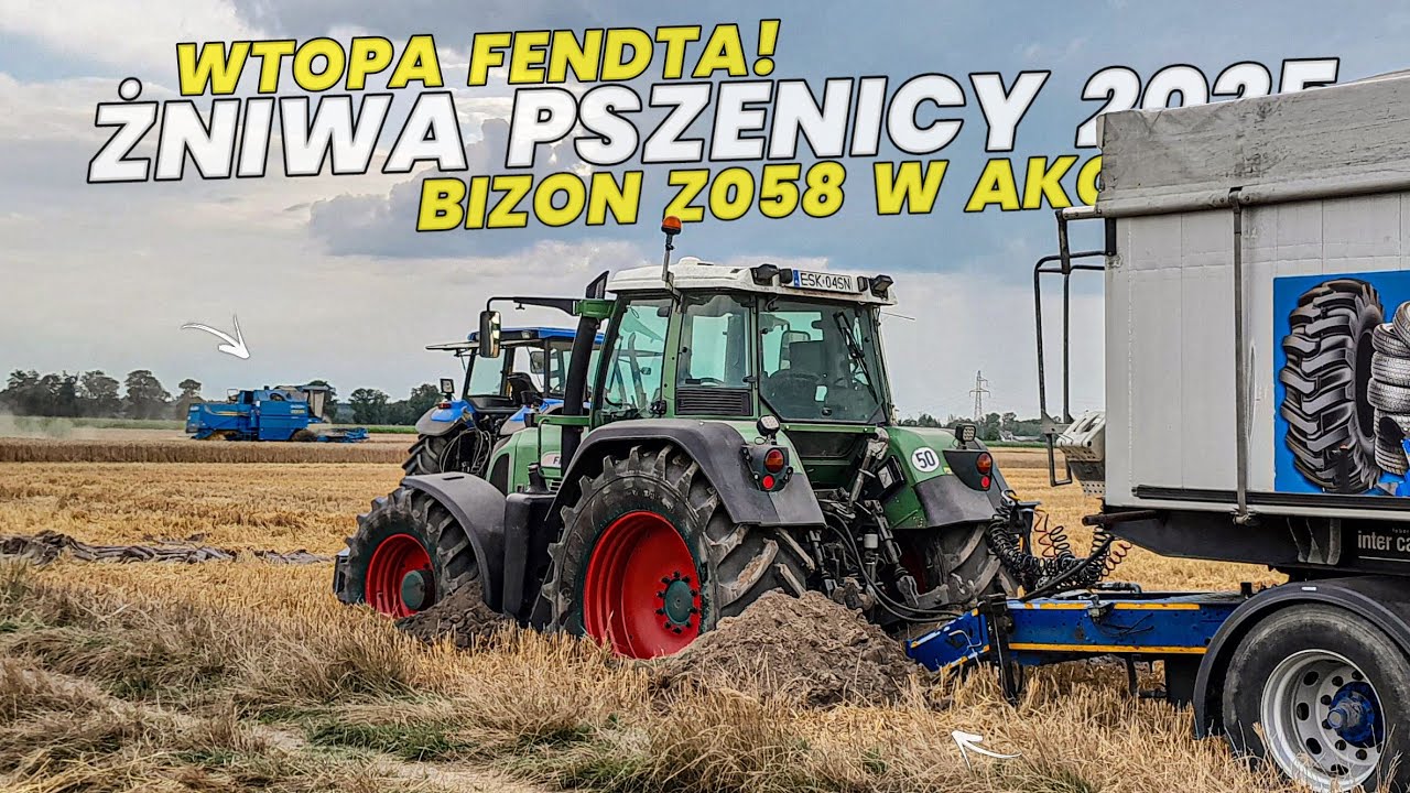 ☆Fendt Zakopany Po Rame!?☆Oporowe Żniwa Pszenicy 2025!☆Bizon Rekord Z058 W Akcji!?☆2x Fendt☆