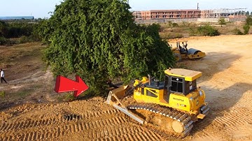 Wow !! Incredible Excellent Techniques skill operator Dozer working push Land Filling Up