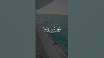 #تلاوة #آيات #القرآن_الكريم #quran #قرآن #تلاوات #القرآن #تلاوة_خاشعة #قران_كريم#ترند#تلاوات_خاشعة