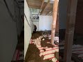 Делаем Марку прочности М 150 полусухая стяжка #ПолуСухаяСтяжкаВладивосток ￼