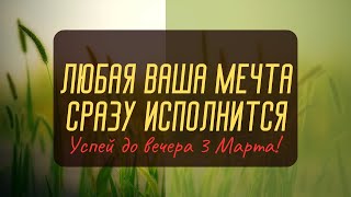 Хотите Чтобы мечта сбылась? Сделайте так