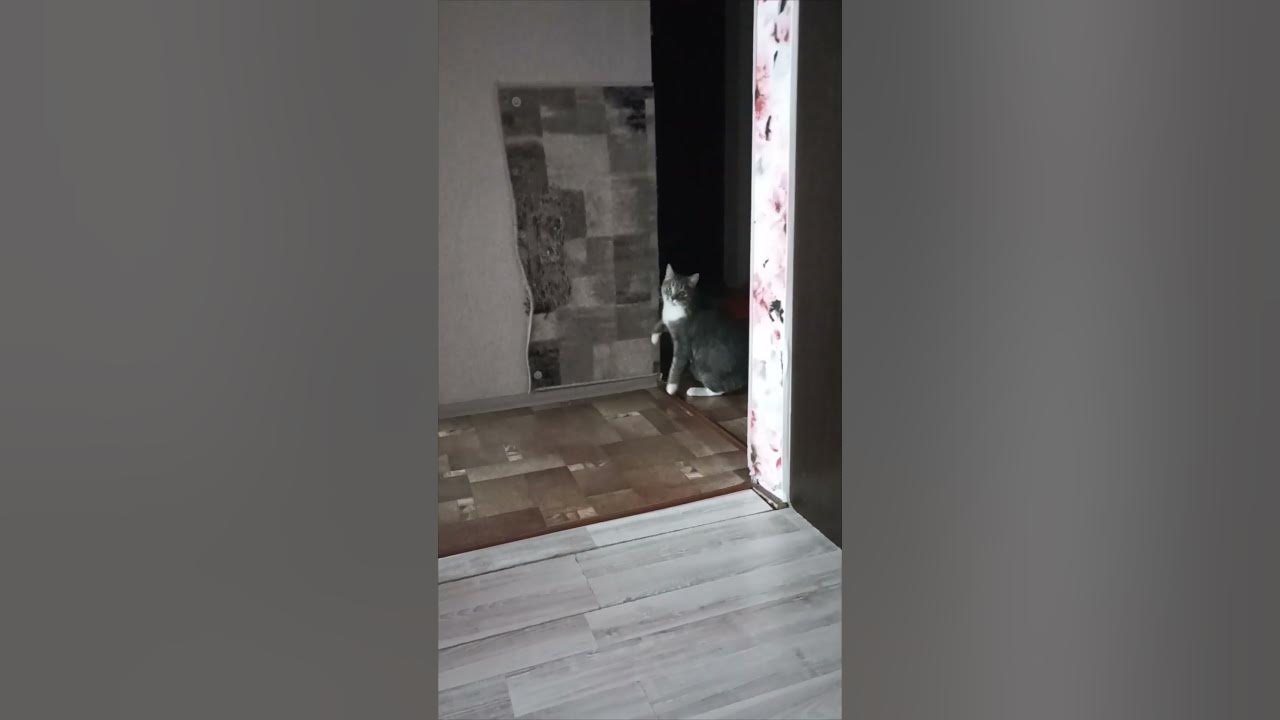 я смущаюсь - YouTube