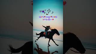 urdushayari pashtoblackscreen ghazals pashtoshayari shayari pashtosong dance armani love ❤❤