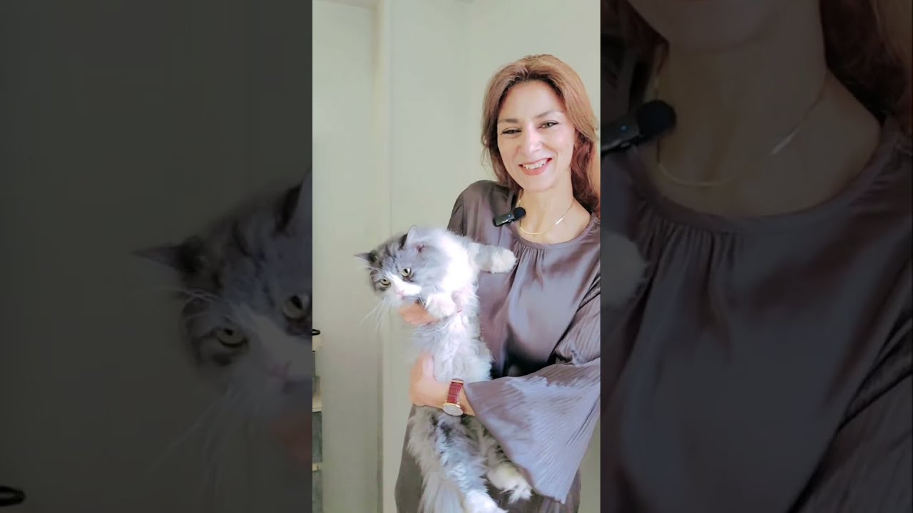 مرحلة الأزمه والهروب والمطارده فى علاقة توأم الشعله/تفعيل الألم وأندلاع الغضب بين الين و اليانج