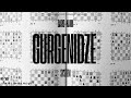 Caro-Kann, Gurgenidze System (g6) · Complete Chess Openings