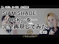 【SIAM SHADE】「RISK」完全再現してみた(多分)