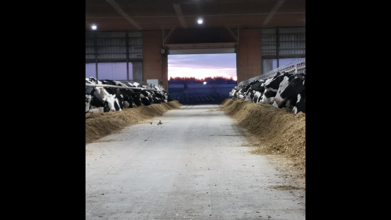 الحلقة الرابعة. اذاي تقدر تفهم اقتصاديات التناسليات ومنحني انتاج اللبن في ربع ساعه