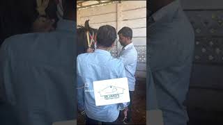 EYE WORM IN HORSE #horse #drjavedsveterinaryclinic #horror #equinevet #equinecare
