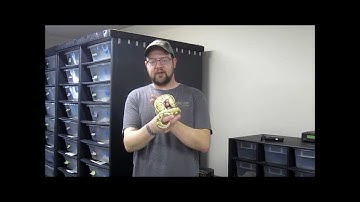 New SnakeHerder.com snake building- and a lesser bee!