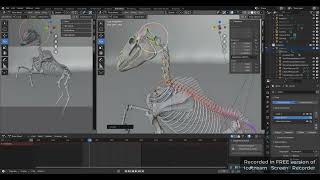 Horse Skeleton and Rig in Blender