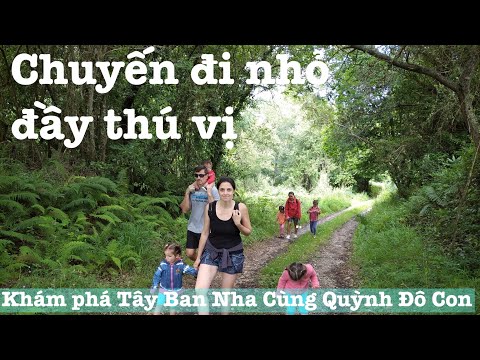 Video MỘT CHUYẾN ĐI NHỎ ĐẦY THÚ VỊ KHÁM PHÁ BÃI BIỂN MỚI... - youtube