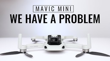 Mavic Mini We Have A Problem