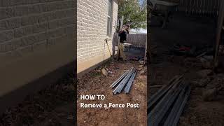 How to remove a fence post like a man #diy #fence #construction #bluecollar