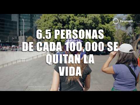 Reproducir