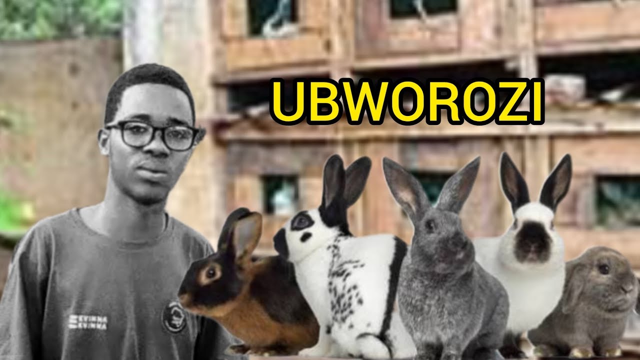 Reba ukunu wakorora inkwavu zikoririka mucyaro 