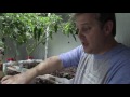 Growing Food in a Small Aquaponics System in a Suburban Garage Growing Food in a Small Aquaponics System in a Suburban Garage