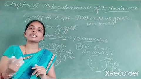 II PU REGULAR TOPIC: MOLECULAR BASIS OF INHERITANCE PART-3