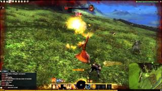Dynamic Quest