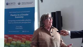 What role can businesses play to promote sustainable plastic use Libby Bernick