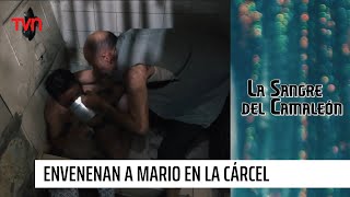 Mario envenenado en la cárcel | La sangre del camaleón