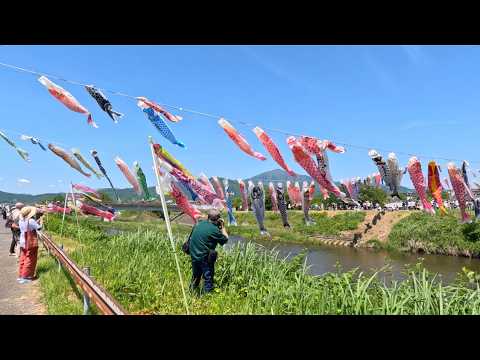 鯉のぼり26505 - YouTube