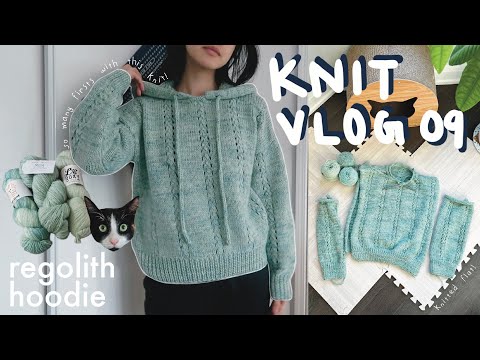 Regolith Hoodie | Cosmology Daruma Collection 2022 | Amirisu | Vlog/Diaries ep 09 | cindknits